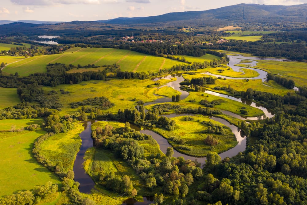 Чешский заповедный регион Шумава — рай для любителей трекинга. Источник: Shutterstock.